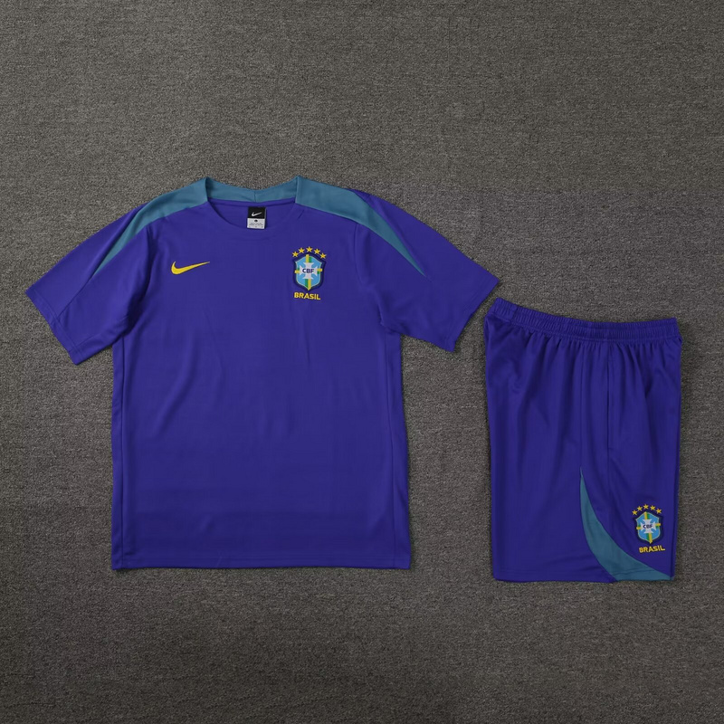 AAA Quality Brazil 24/25 Purple/Green Training Kit Jerseys